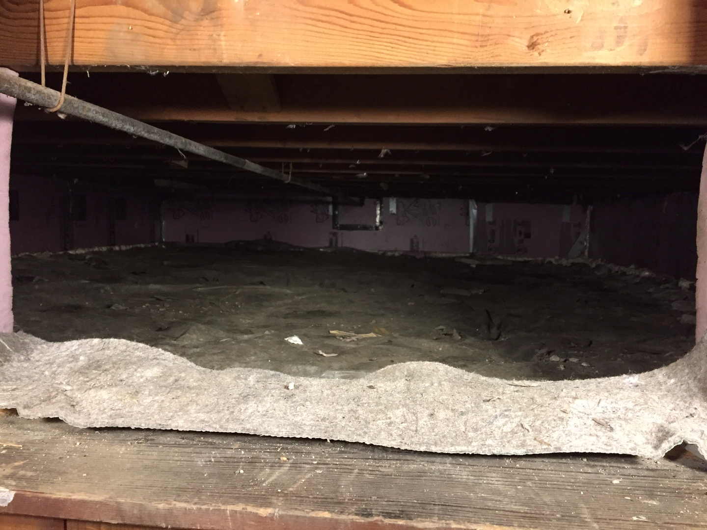 That September, we discovered a ton of wet, moldy insulation falling from the joists in the crawlspace. (This is the "after" picture.)